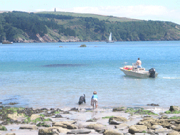 Beaches in South Devon