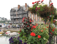 Flowers at Dartmouth Harbour