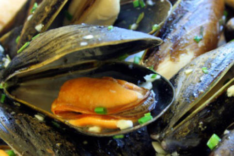 Delicious mussels