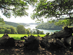 Coastal path to Greenaway