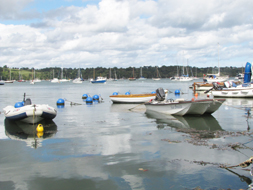 Tenders and Buoys on the River Dart