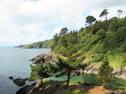 The Coastal Path in South Devon