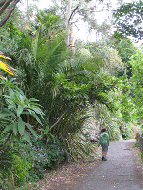 Walking up the road at Kingsweat